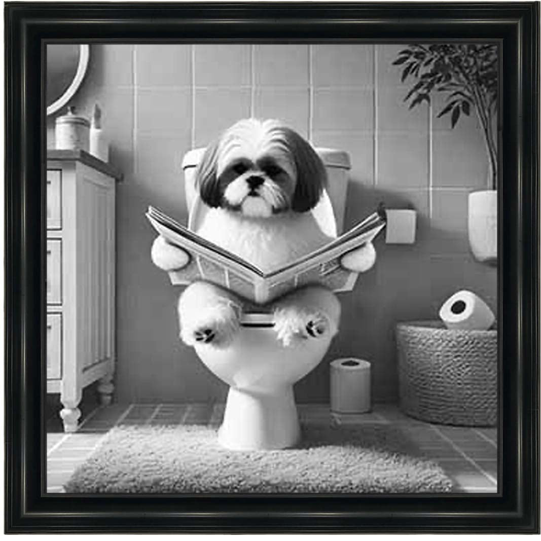 AN2212 SHIHTZU ON THE TOILET