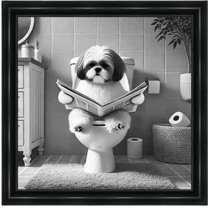 AN2212 SHIHTZU ON THE TOILET