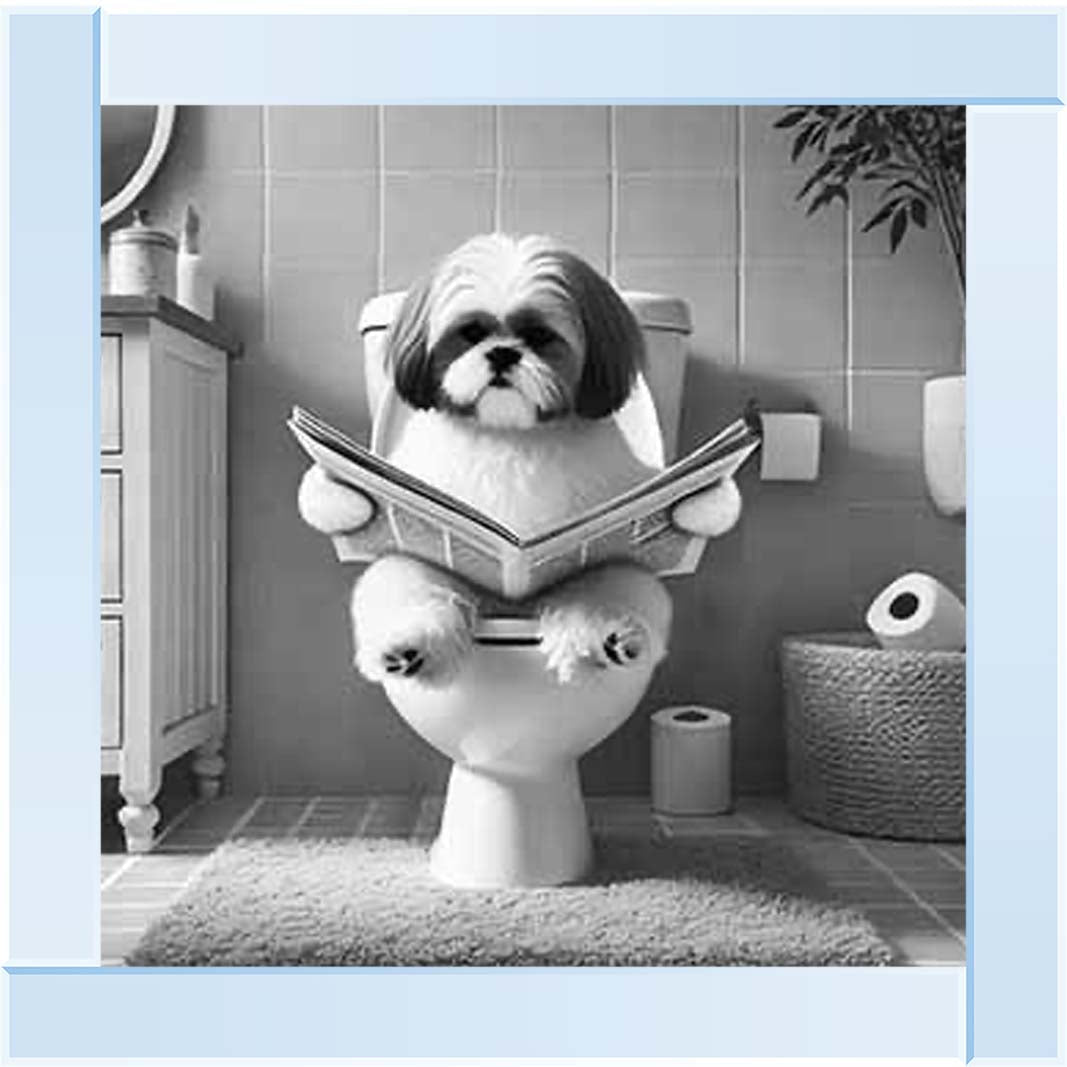 AN2212 SHIHTZU ON THE TOILET