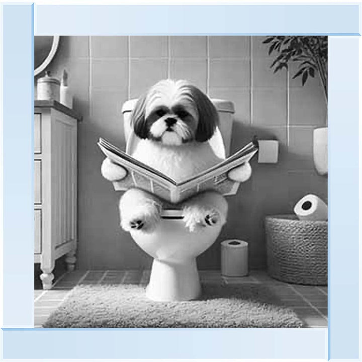 AN2212 SHIHTZU ON THE TOILET