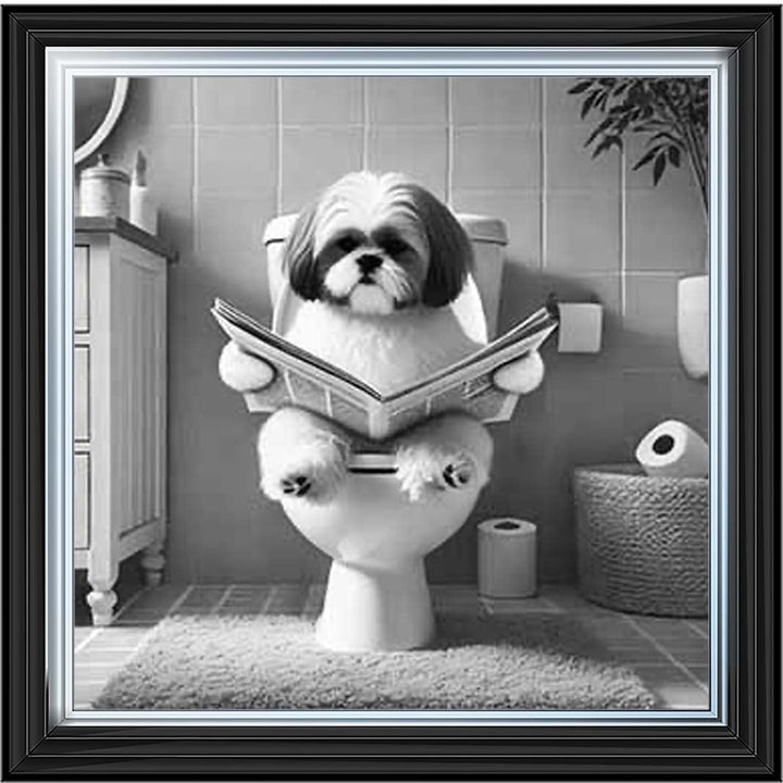 AN2212 SHIHTZU ON THE TOILET