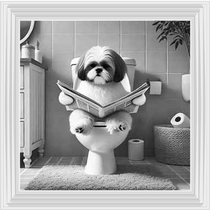 AN2212 SHIHTZU ON THE TOILET