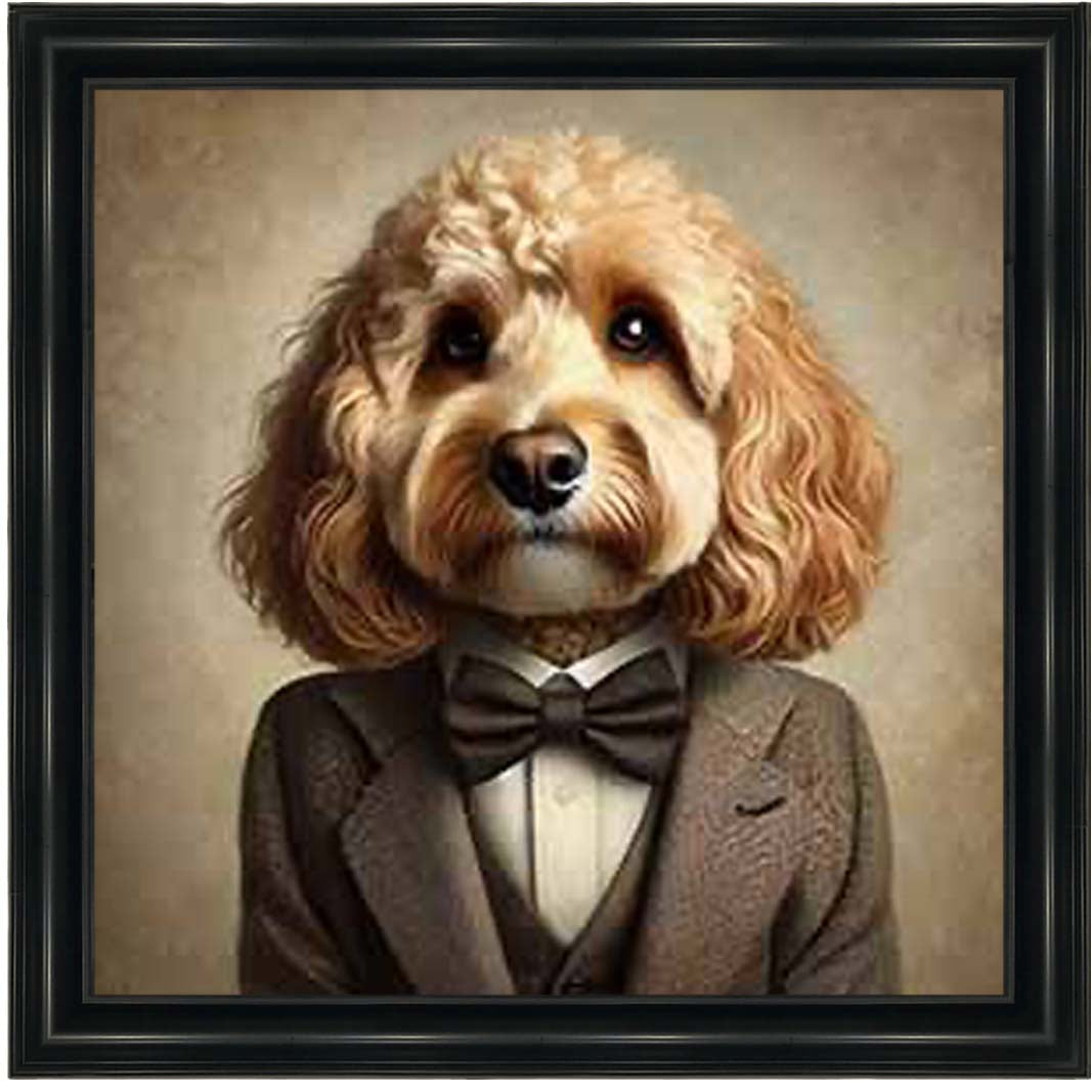AN2224 Cockapoo Smart Suit
