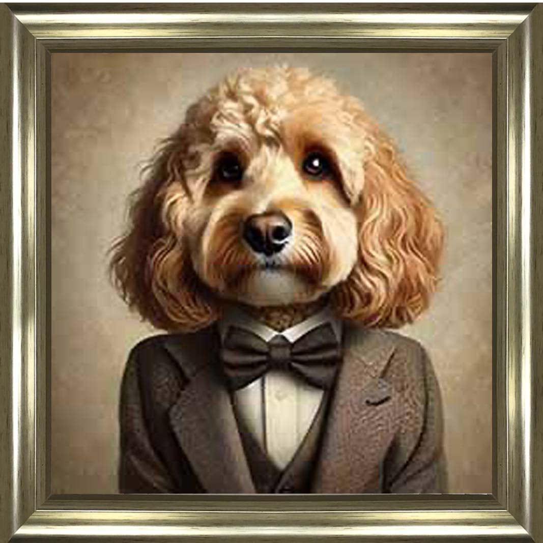 AN2224 Cockapoo Smart Suit