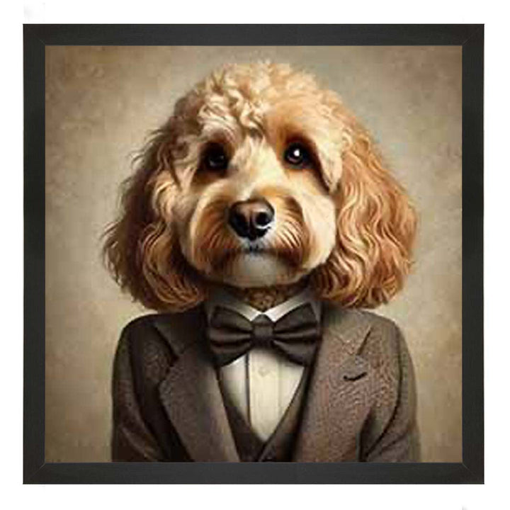AN2224 Cockapoo Smart Suit