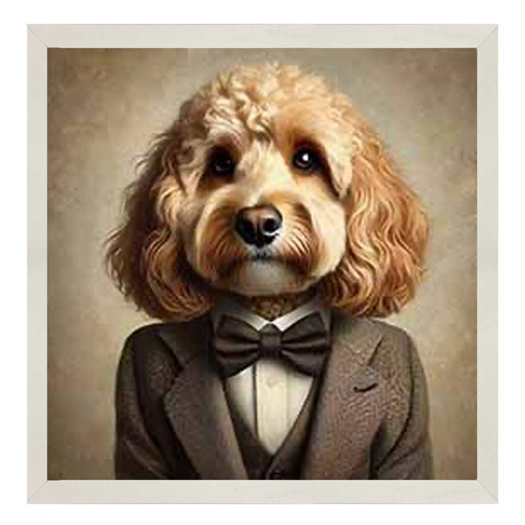 AN2224 Cockapoo Smart Suit