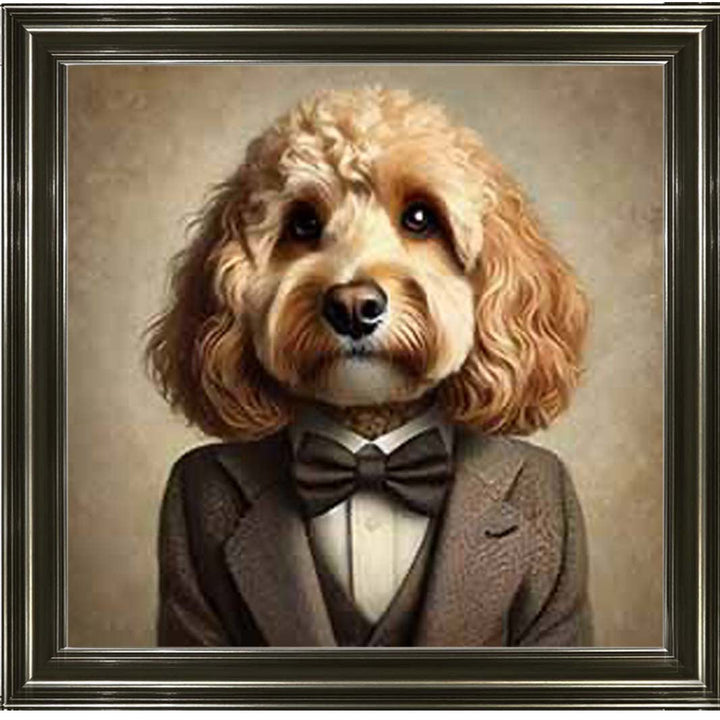 AN2224 Cockapoo Smart Suit