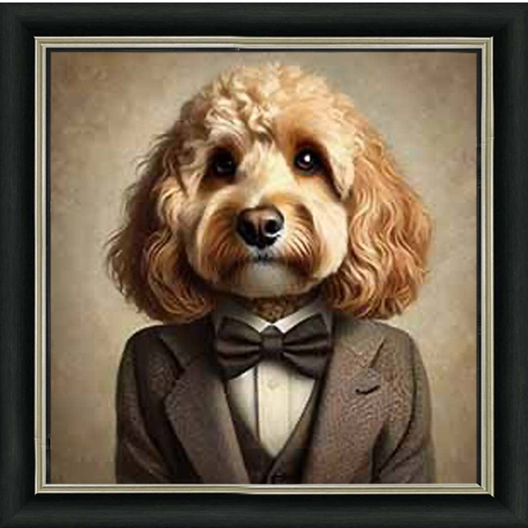 AN2224 Cockapoo Smart Suit
