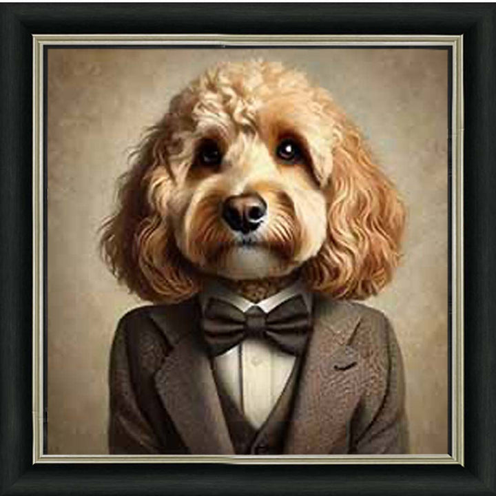 AN2224 Cockapoo Smart Suit