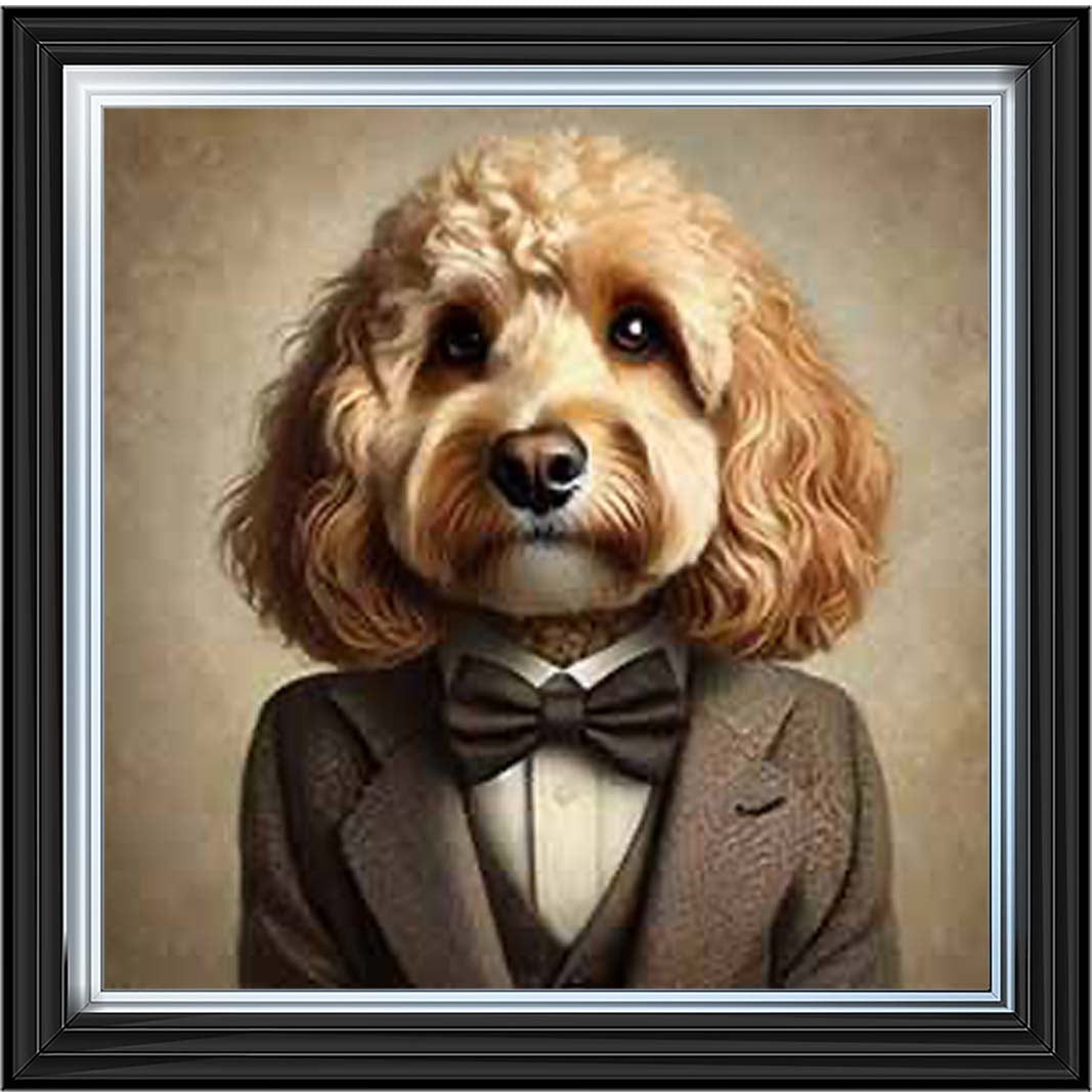 AN2224 Cockapoo Smart Suit