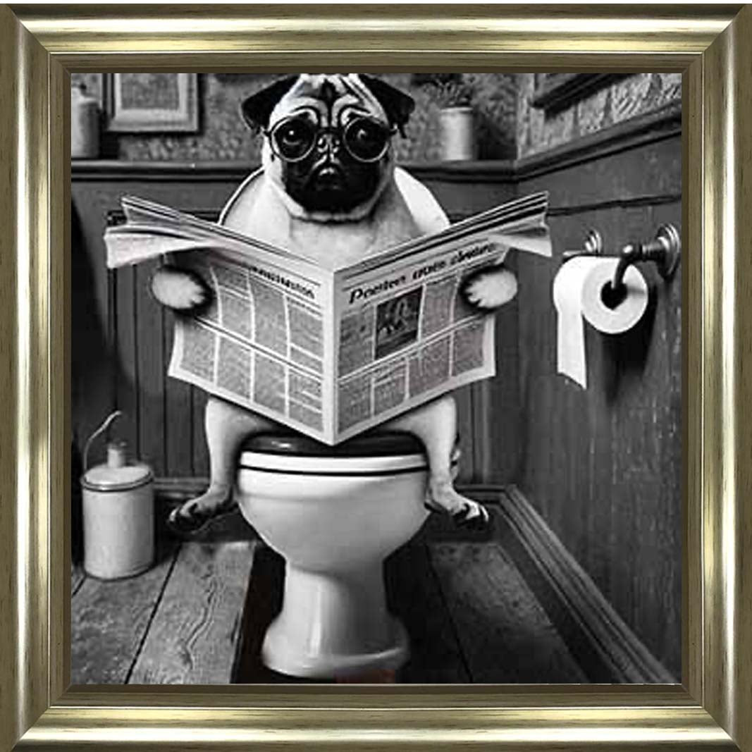 AN2235 Bulldog paper & Glasses