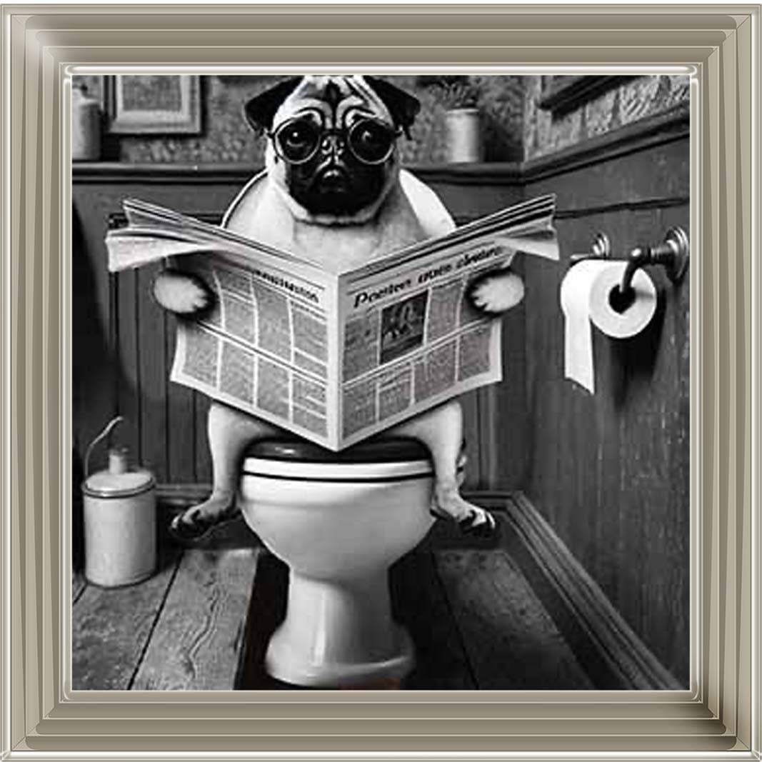 AN2235 Bulldog paper & Glasses