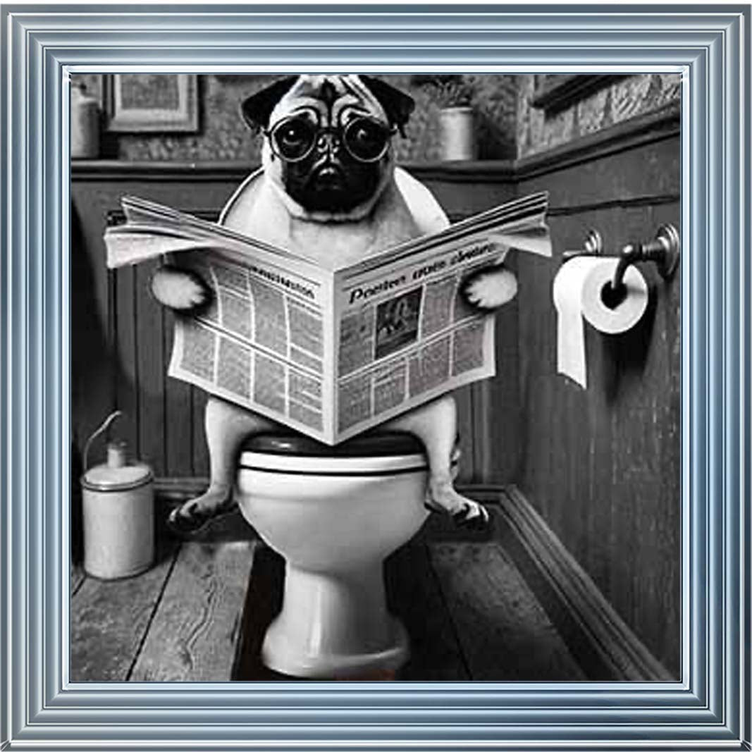 AN2235 Bulldog paper & Glasses