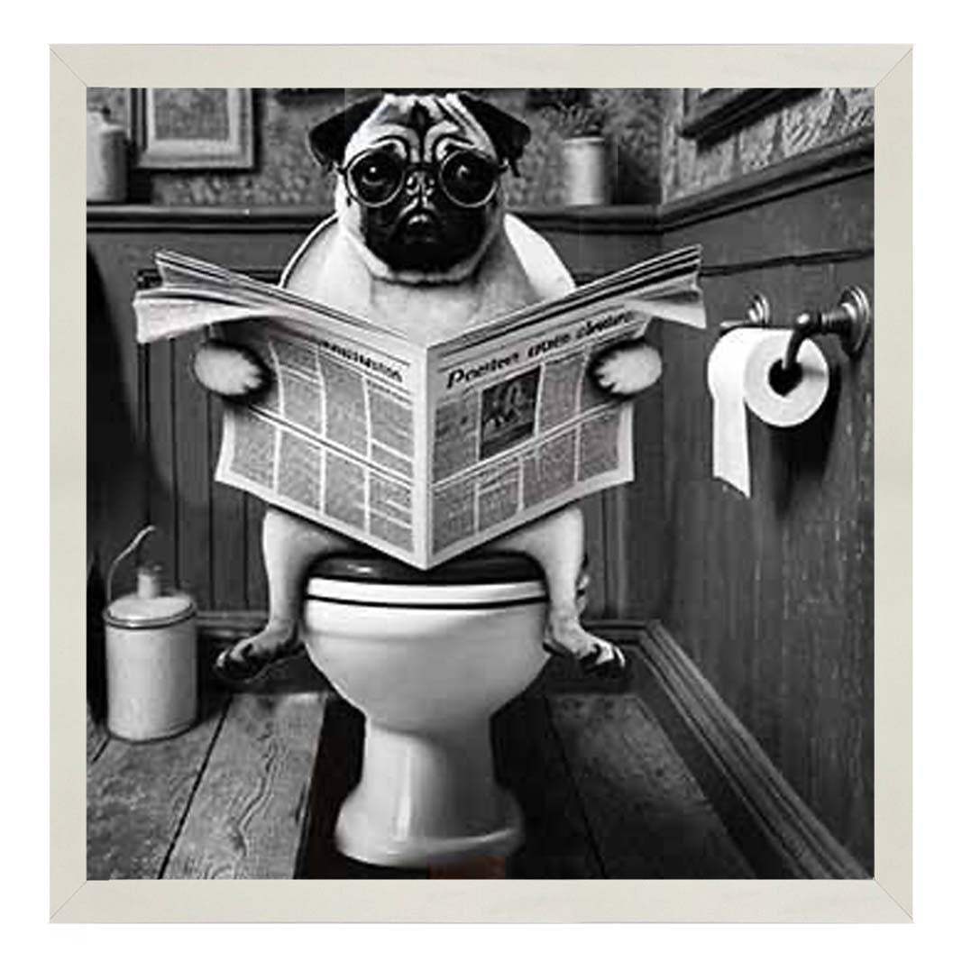 AN2235 Bulldog paper & Glasses