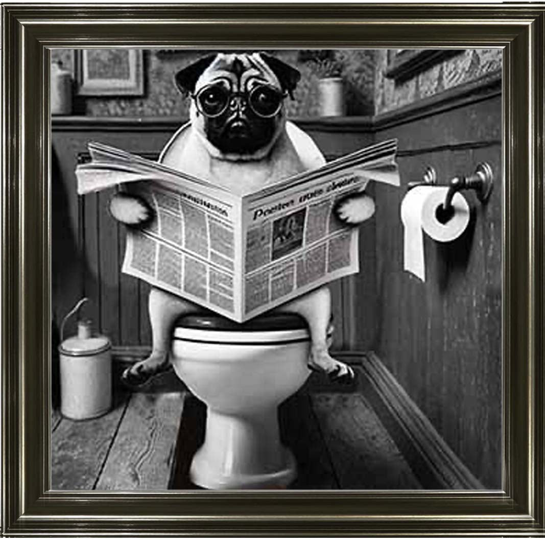 AN2235 Bulldog paper & Glasses