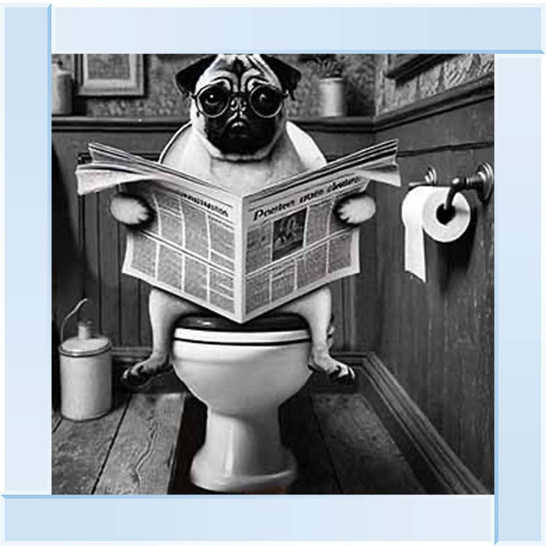 AN2235 Bulldog paper & Glasses