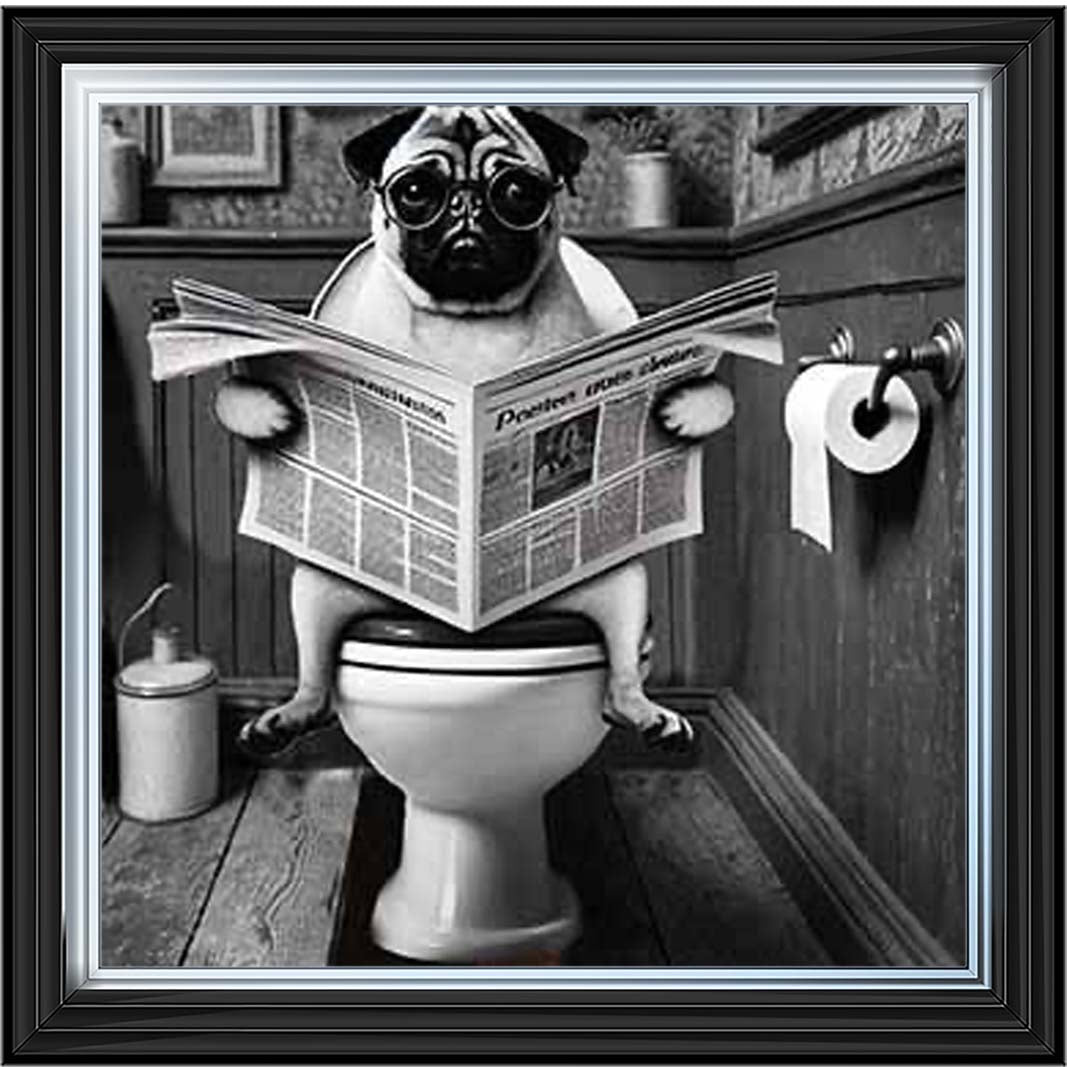 AN2235 Bulldog paper & Glasses