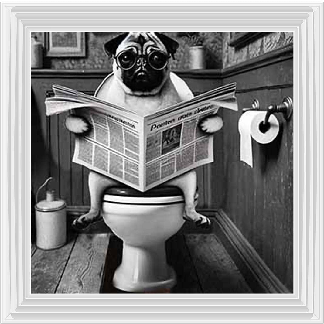 AN2235 Bulldog paper & Glasses