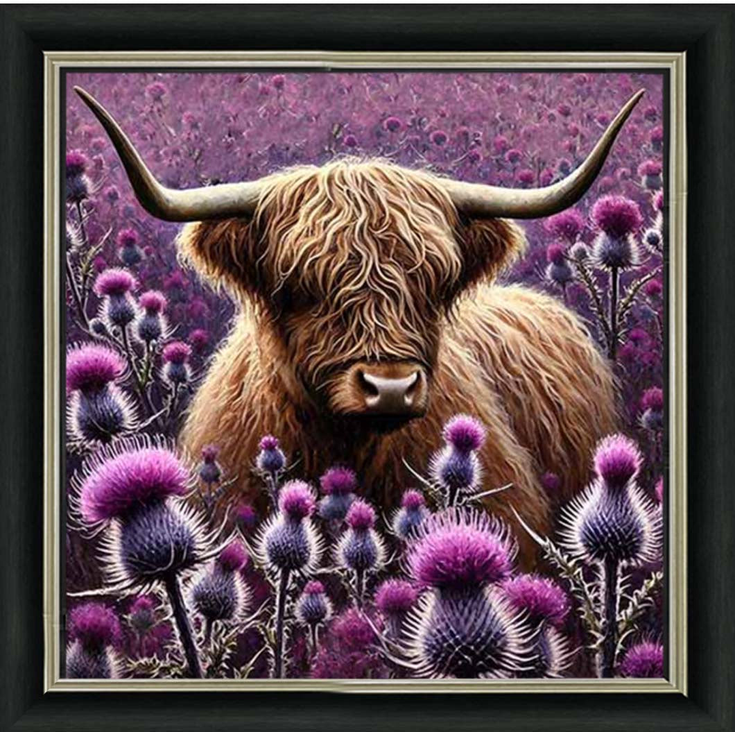 AN2236 Thistle Highland Coo