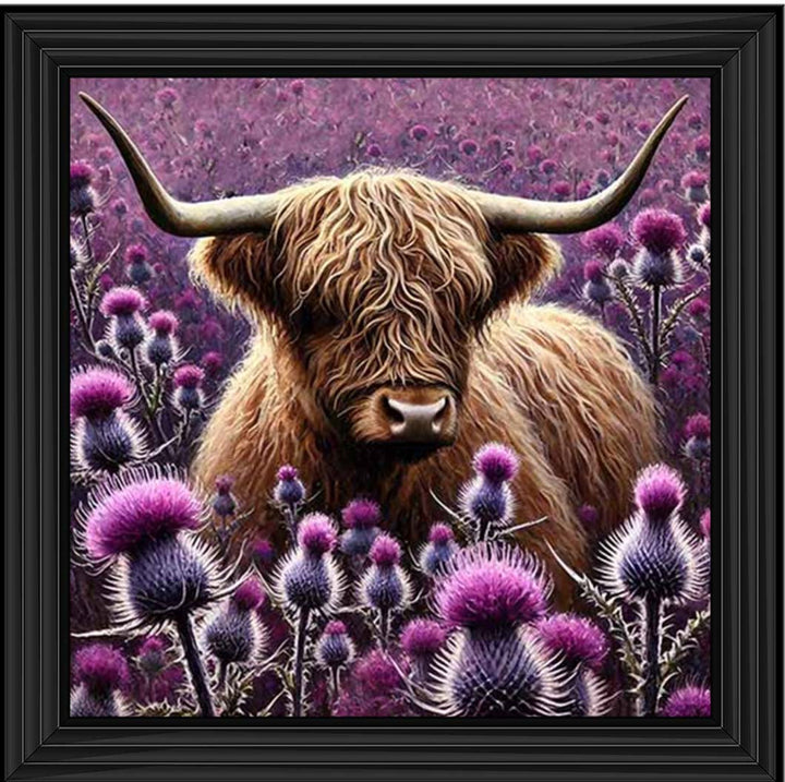 AN2236 Thistle Highland Coo