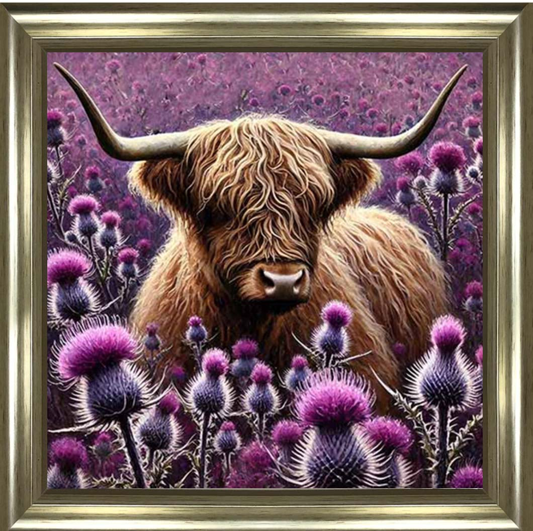 AN2236 Thistle Highland Coo