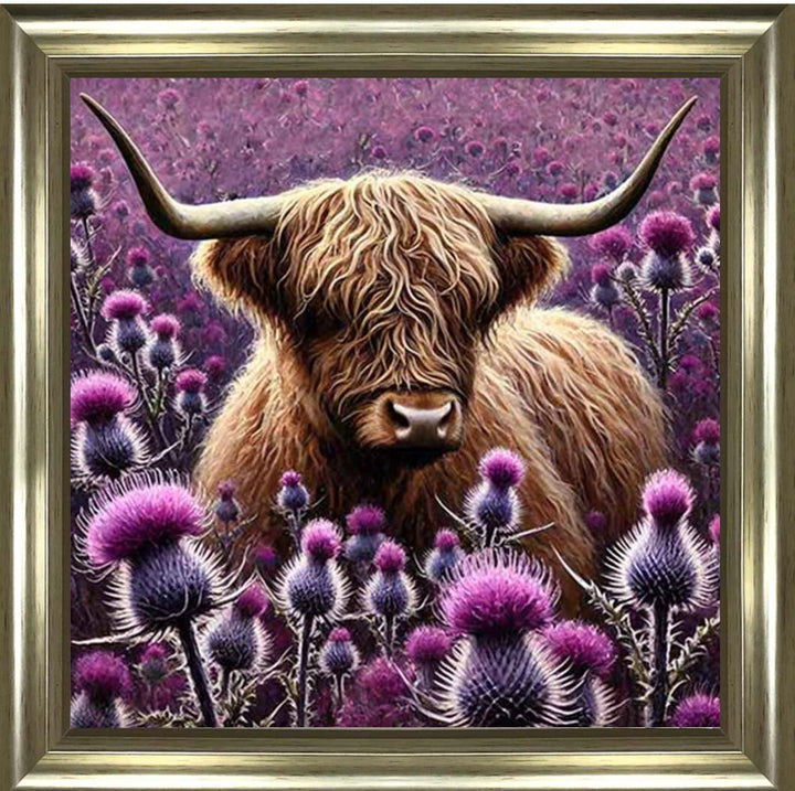AN2236 Thistle Highland Coo
