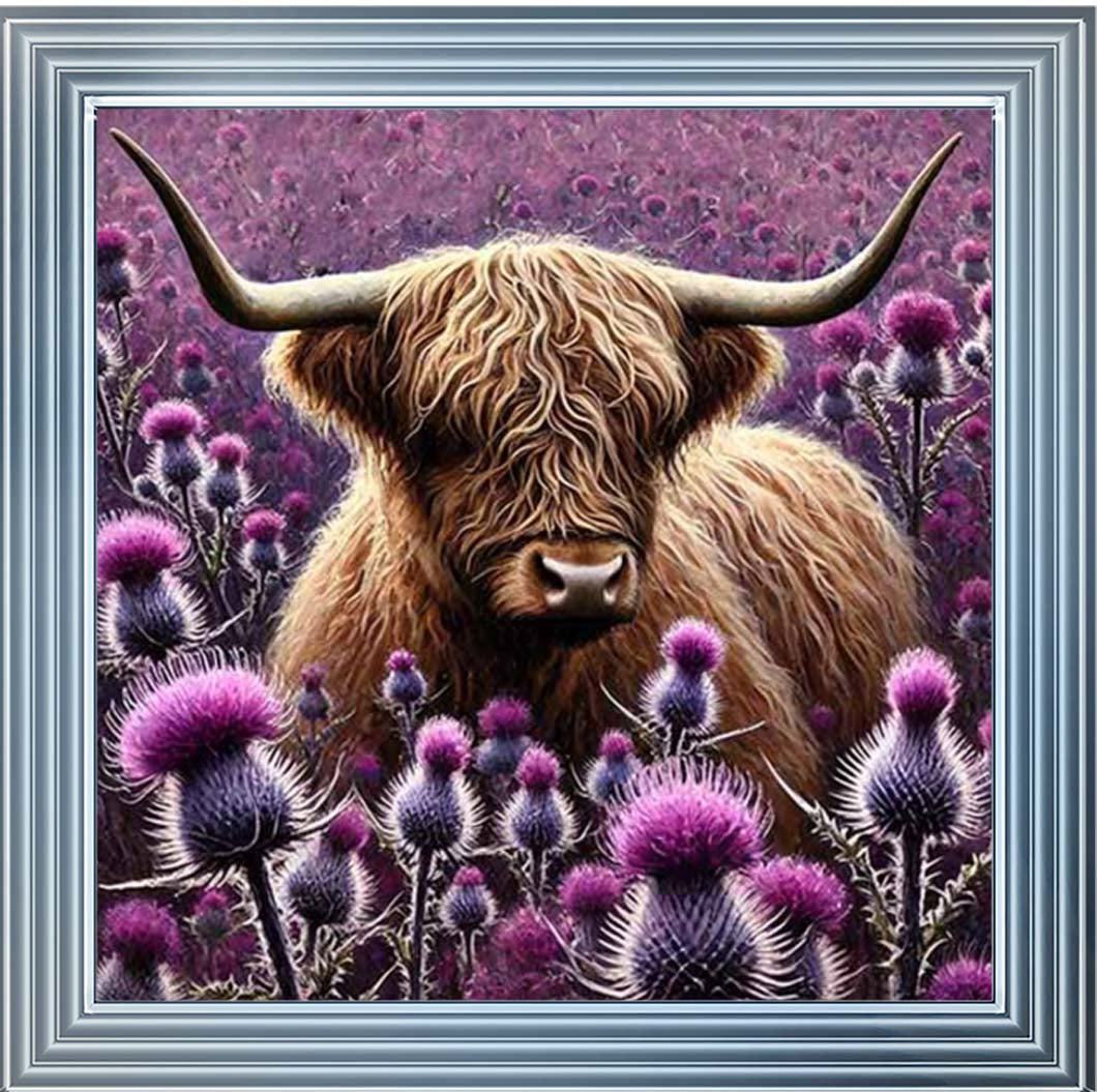 AN2236 Thistle Highland Coo