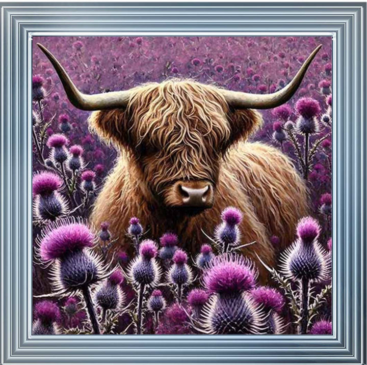 AN2236 Thistle Highland Coo