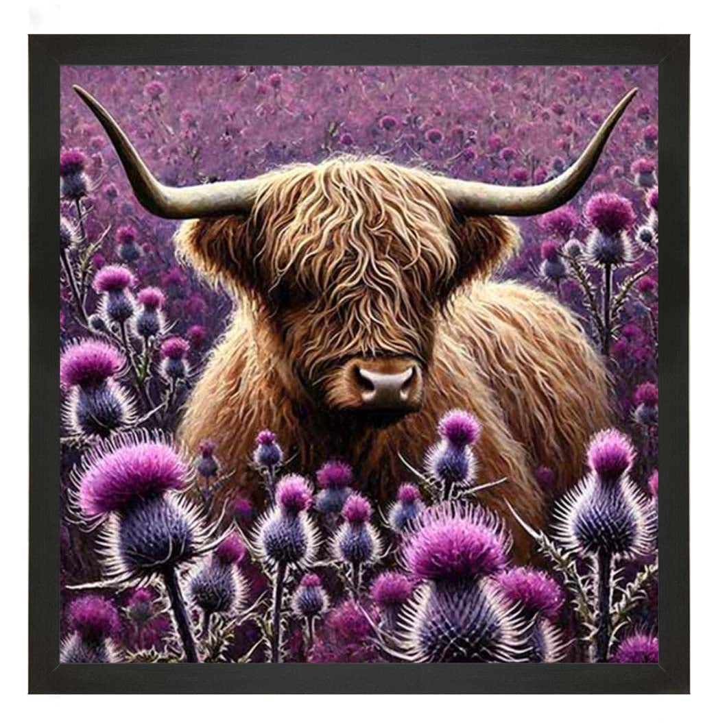 AN2236 Thistle Highland Coo