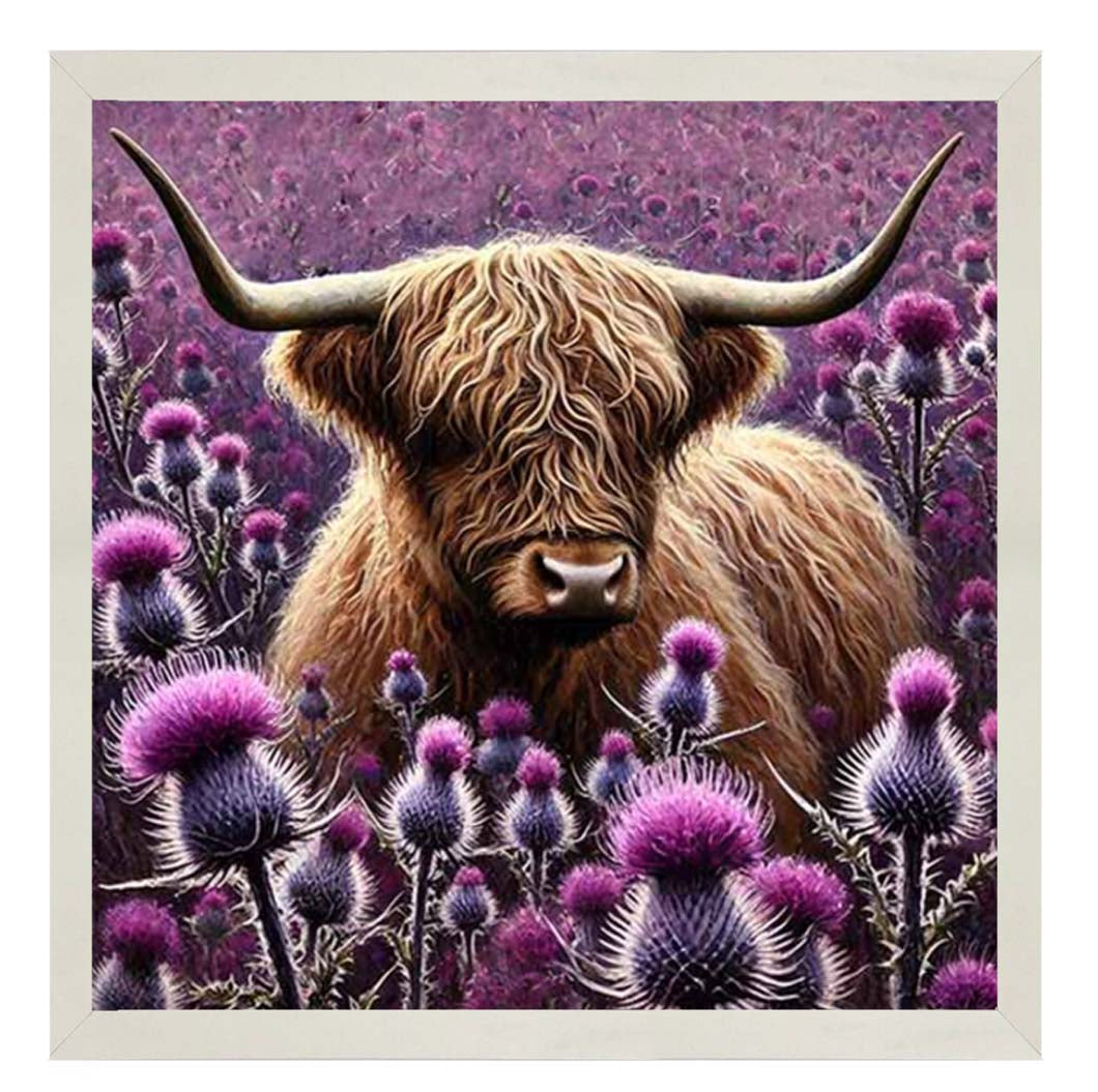AN2236 Thistle Highland Coo