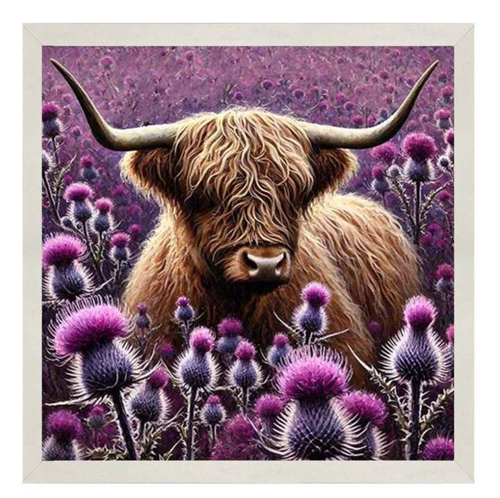 AN2236 Thistle Highland Coo