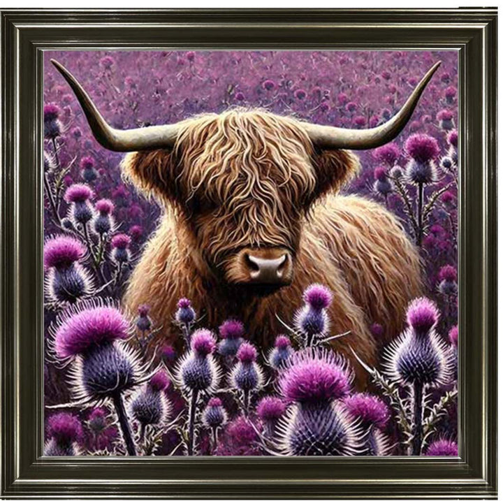 AN2236 Thistle Highland Coo