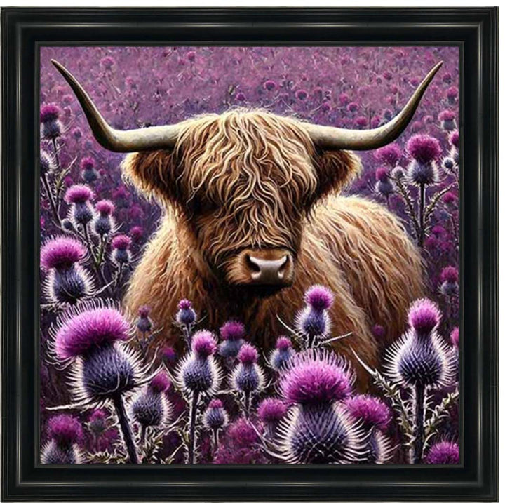 AN2236 Thistle Highland Coo
