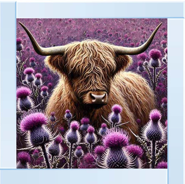 AN2236 Thistle Highland Coo