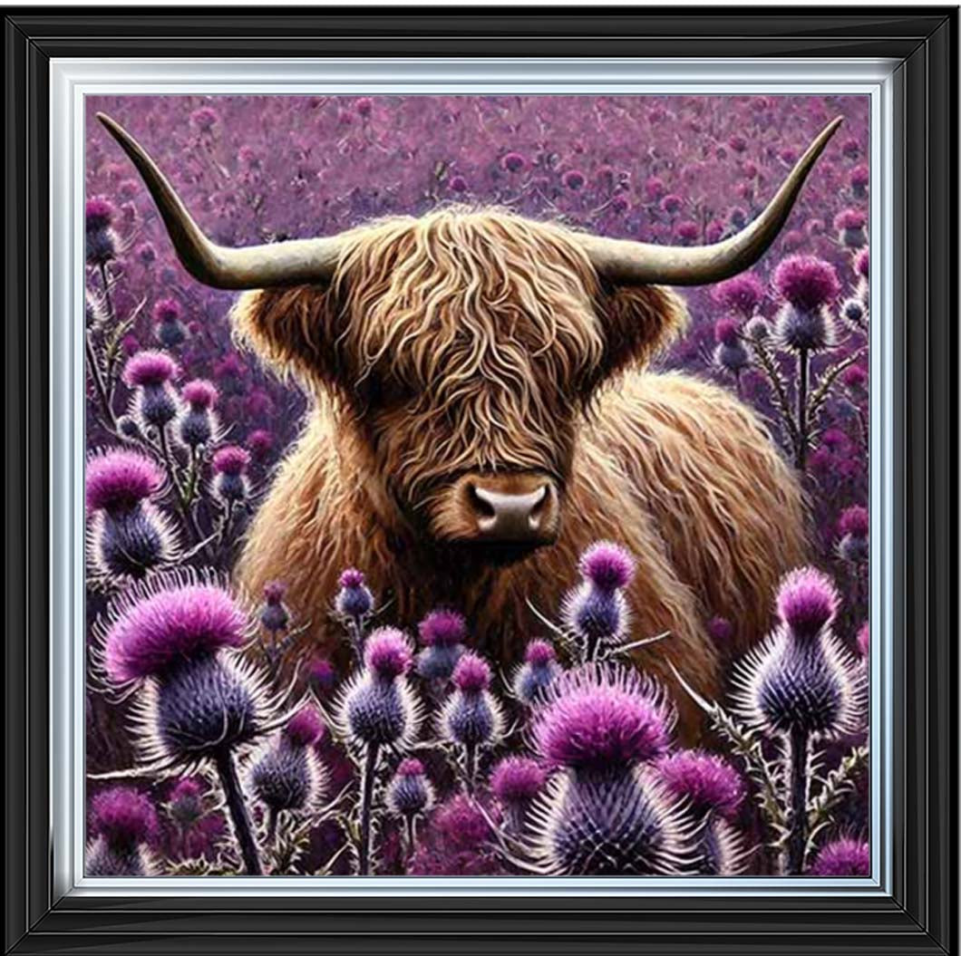 AN2236 Thistle Highland Coo