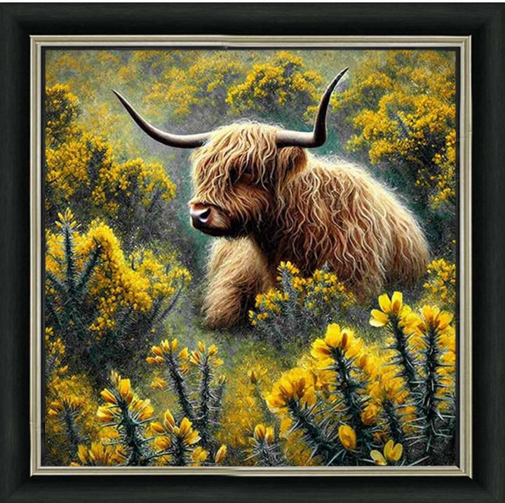 AN2239 Yelllow Grose Highland Coo