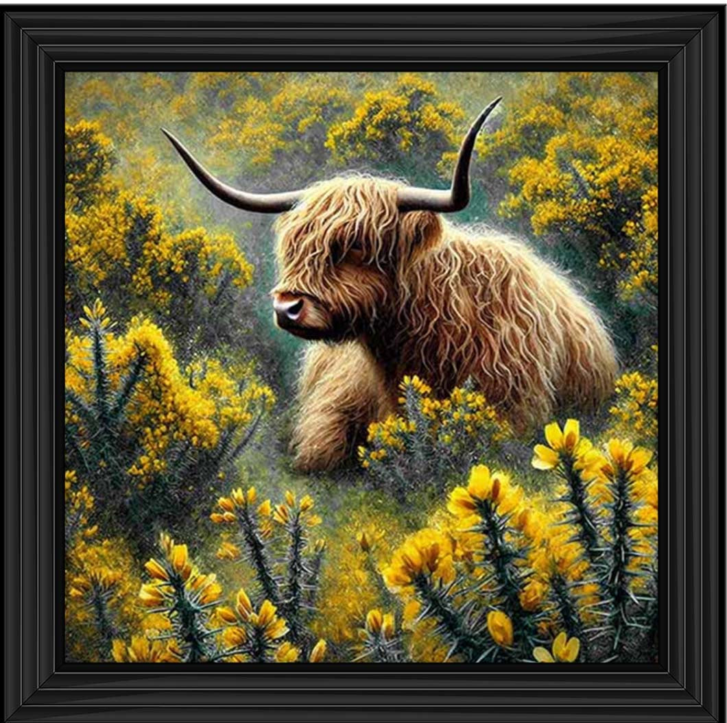 AN2239 Yelllow Grose Highland Coo