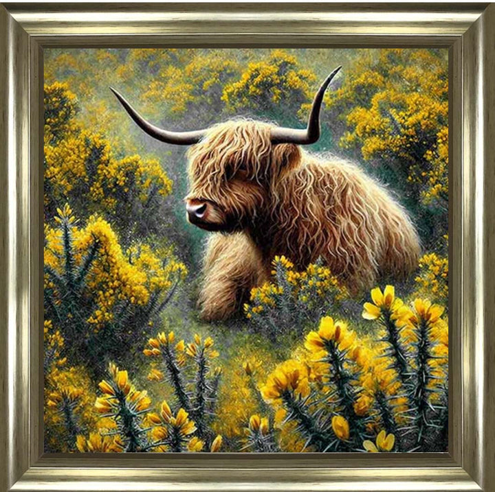 AN2239 Yelllow Grose Highland Coo
