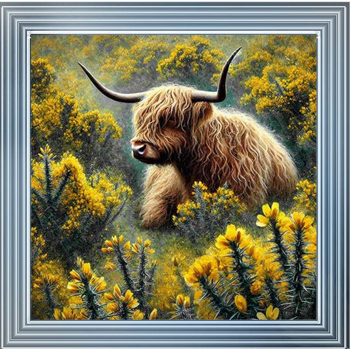 AN2239 Yelllow Grose Highland Coo