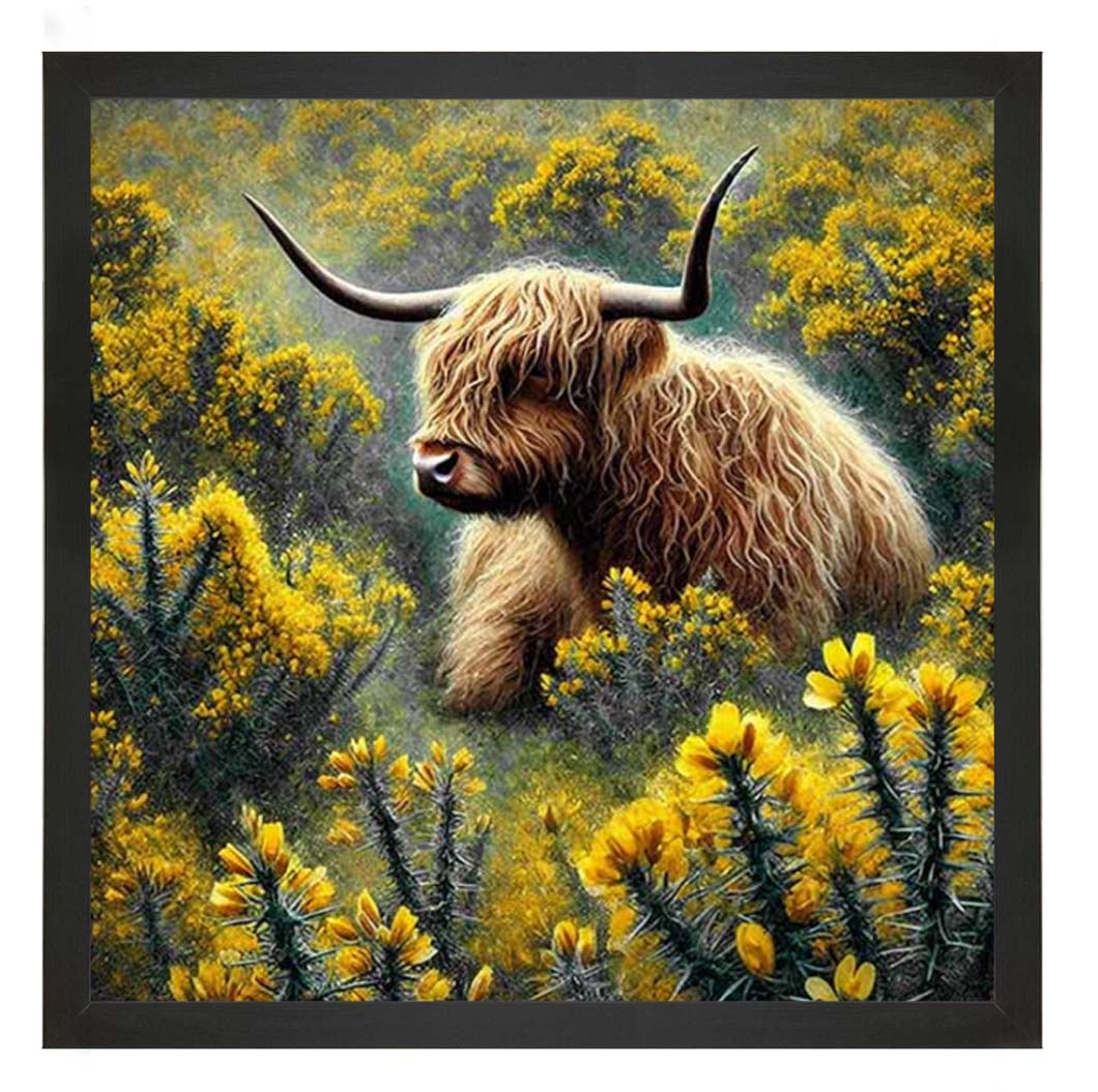AN2239 Yelllow Grose Highland Coo