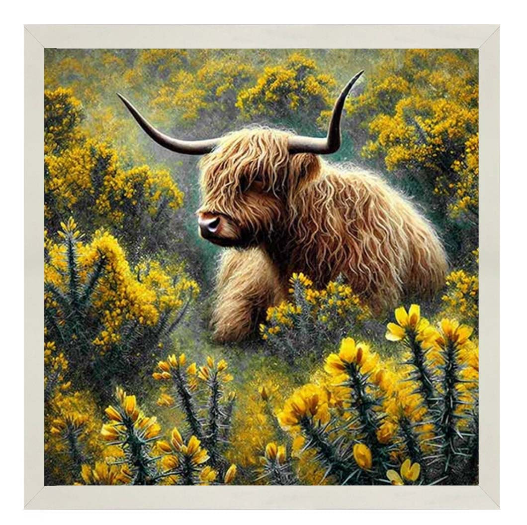 AN2239 Yelllow Grose Highland Coo