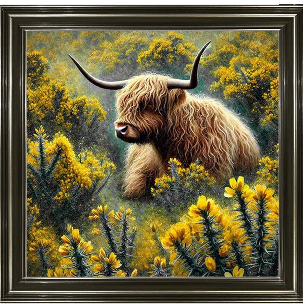AN2239 Yelllow Grose Highland Coo