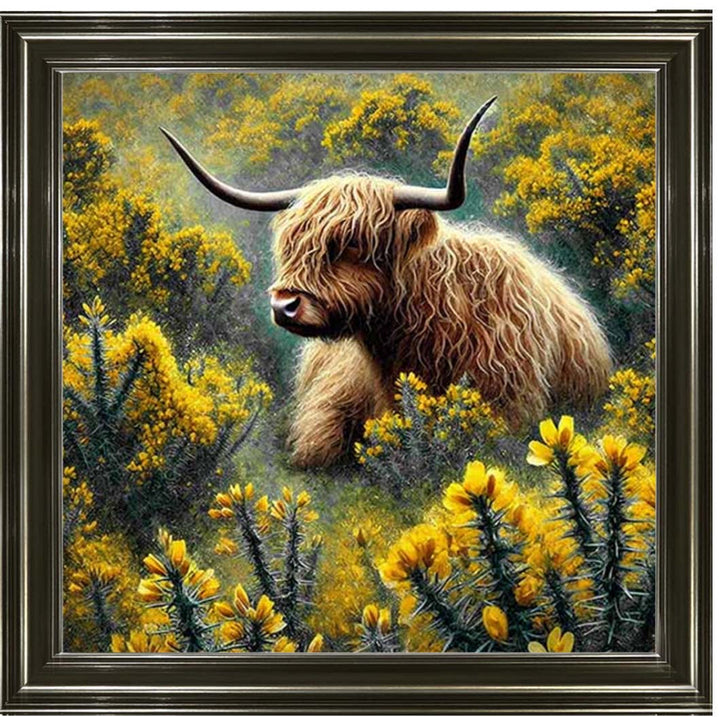 AN2239 Yelllow Grose Highland Coo