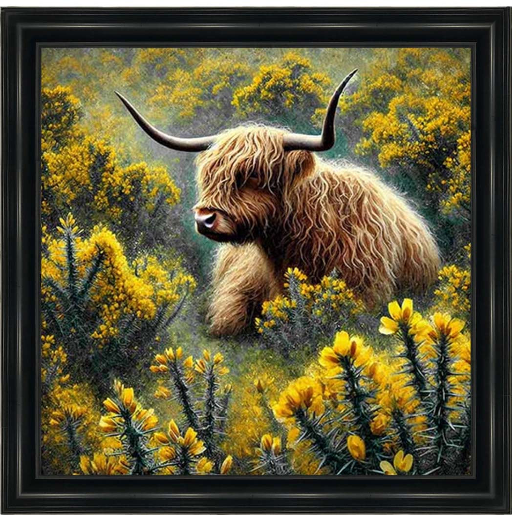 AN2239 Yelllow Grose Highland Coo