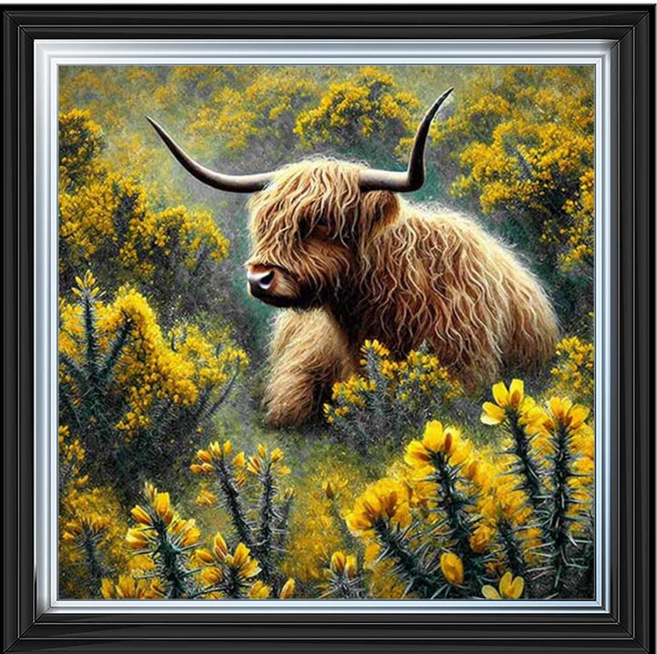 AN2239 Yelllow Grose Highland Coo