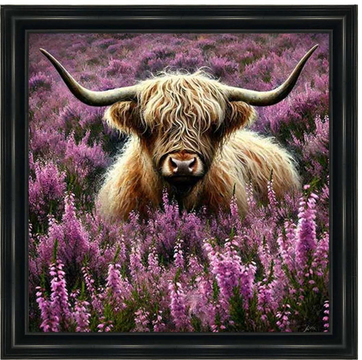 AN2240 Calluna Highland Coo