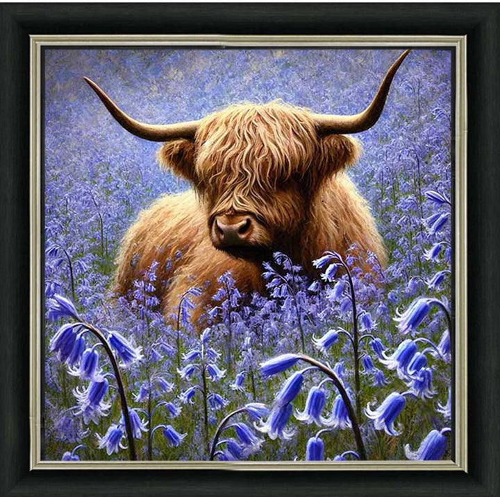 AN2241 Bluebells Highland Coo