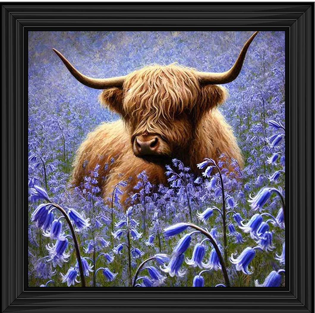 AN2241 Bluebells Highland Coo