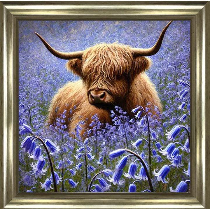 AN2241 Bluebells Highland Coo