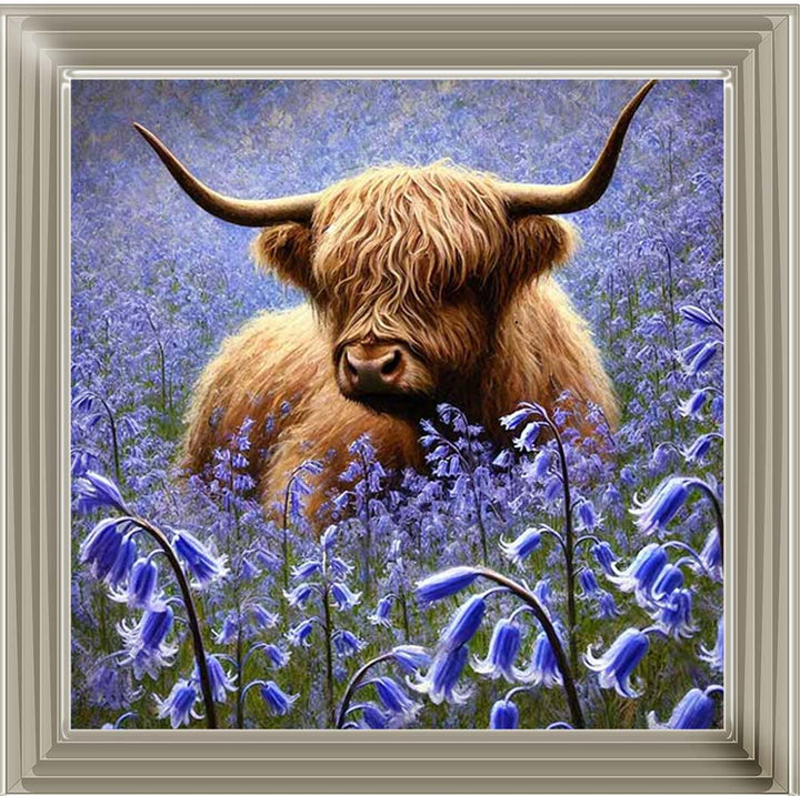 AN2241 Bluebells Highland Coo